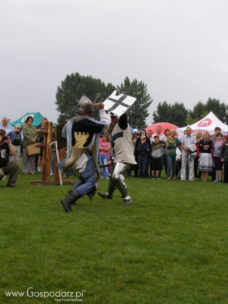 II Festiwal Wieprzowiny w Kwidzyniu