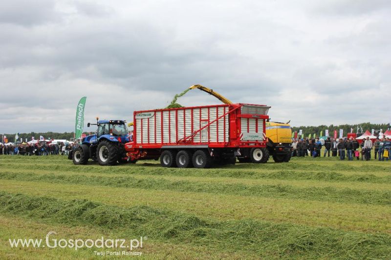 Pokazy maszyn Polskie Zboża Zielone Agro Show 2013