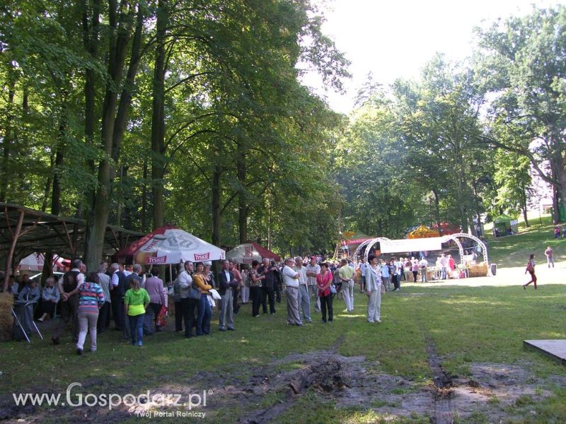 Festiwal Wieprzowiny Drzeczkowo 2012