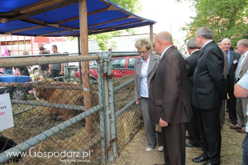  XX Targi Rolnicze Lubniewice