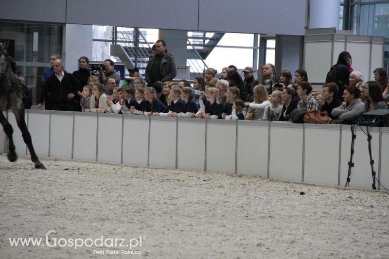 CAVALIADA 2013 w Poznaniu
