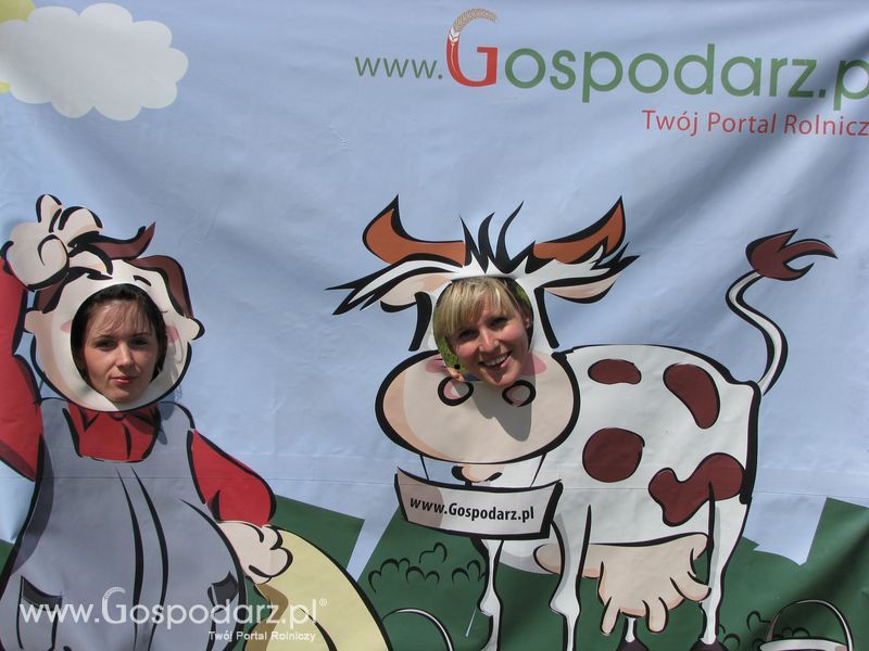 Wielkopolskie Targi Rolnicze „Sielinko 2011”  - Krówka Gospodarza