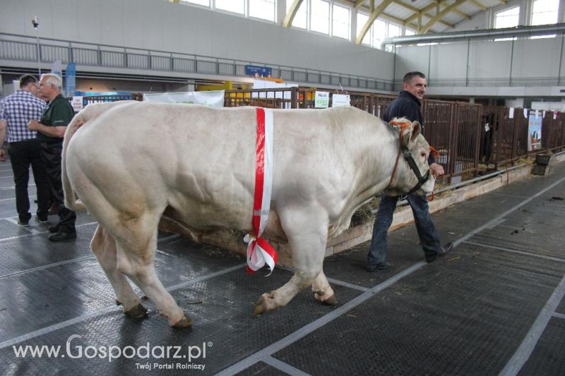 XXVI Krajowa Wystawa Zwierząt Hodowlanych - sobota i niedziela