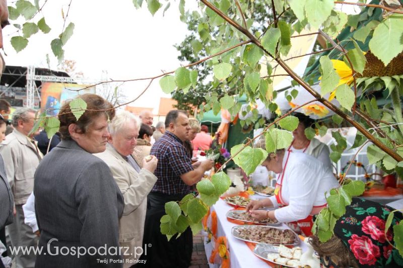 VIII Ogólnopolski Festiwal Pasztetników i Potraw z Gęsi