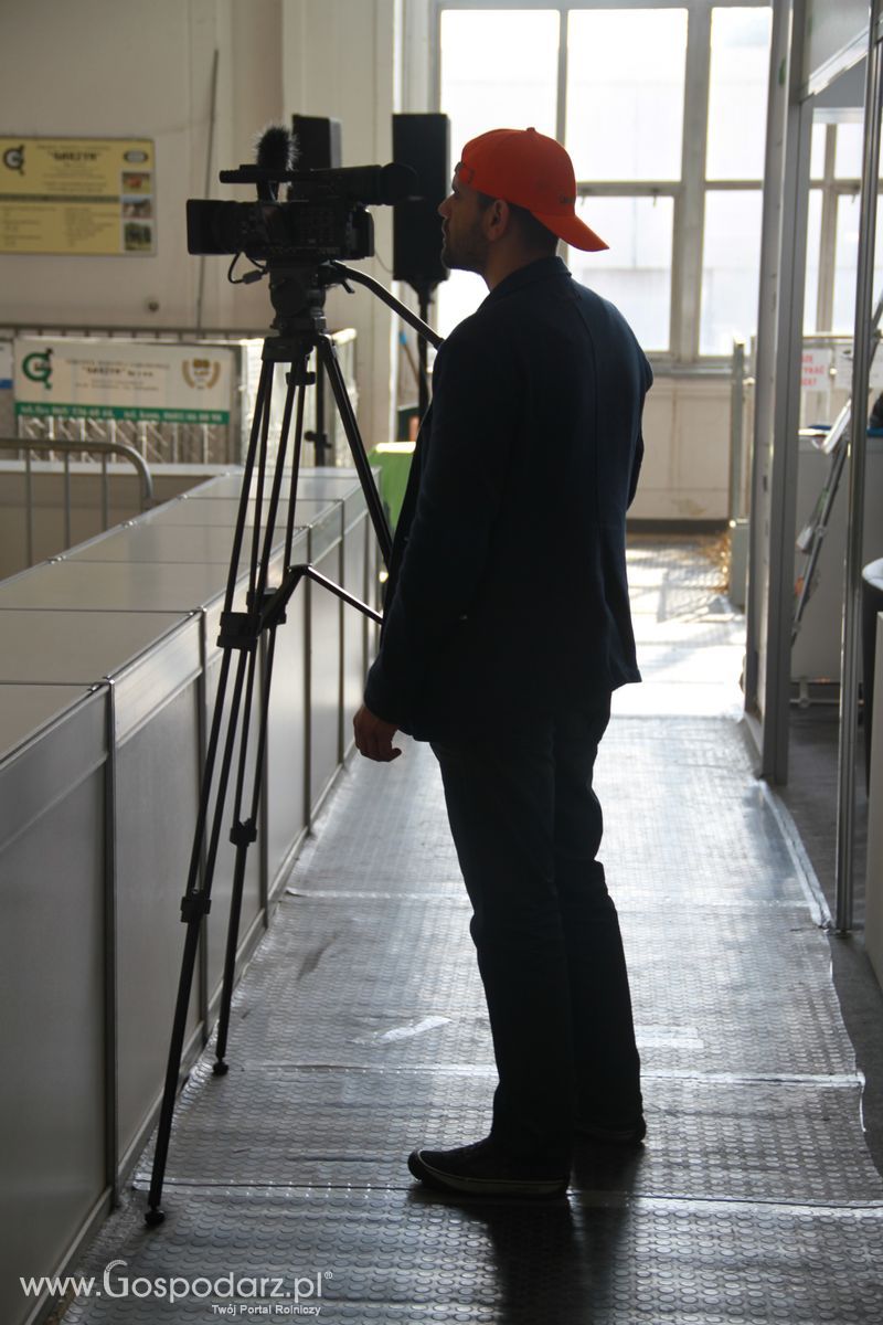 KWZH 2015 sobota