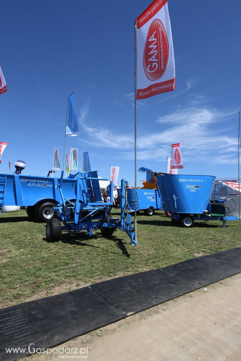 Gama Euromilk na Wystawie w Szepietowie 