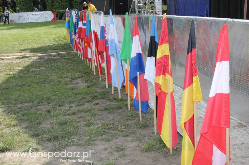 Świętomięs Polski w Chorzowie