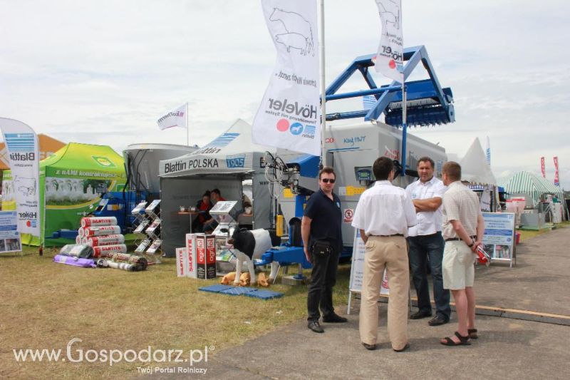 Blattin na Opolagrze 2013