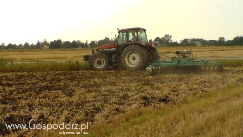 Talerzowane 2013 