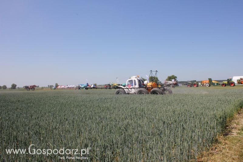 Polskie Zboża 2011 - Piątek 