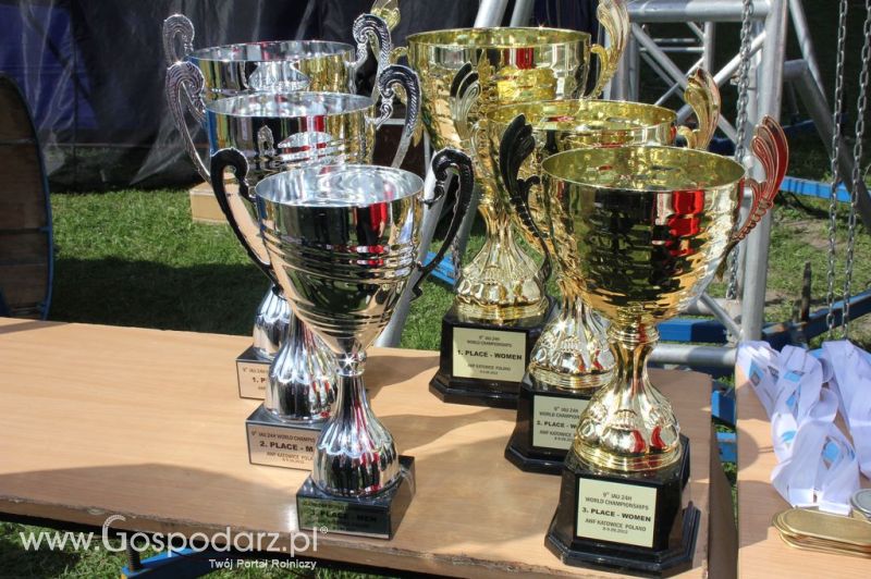 Świętomięs Polski w Chorzowie