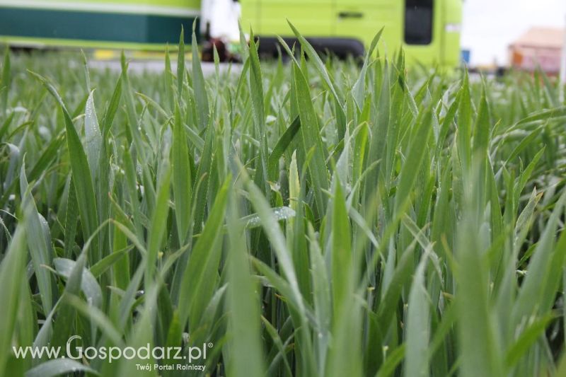 Polskie Zboża i Zielone Agro Show 2013