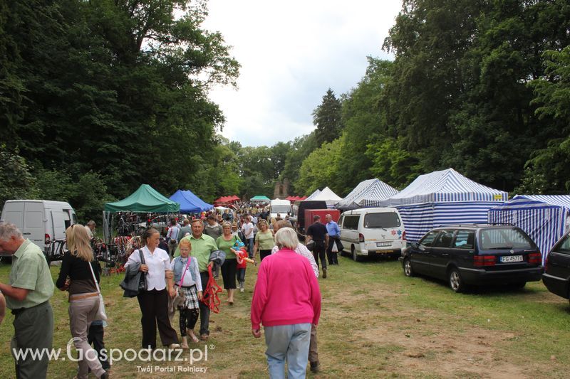  XX Targi Rolnicze Lubniewice
