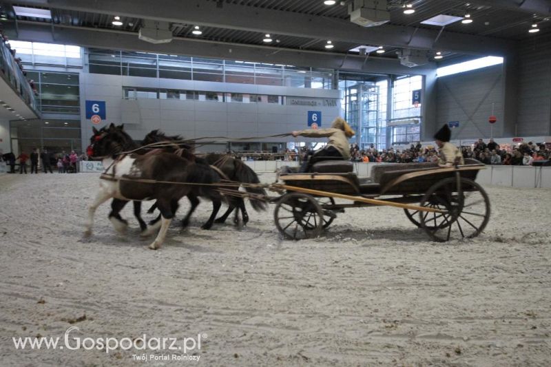 CAVALIADA 2013 w Poznaniu