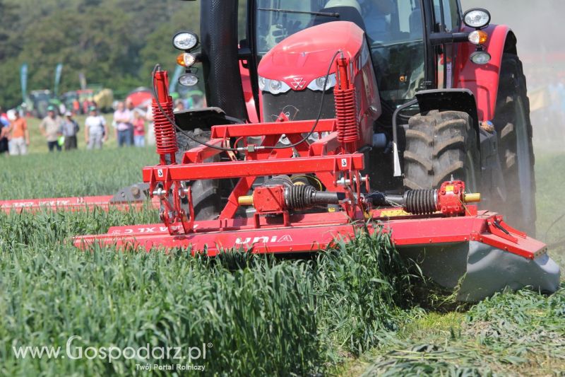 Zielone AGRO SHOW – POLSKIE ZBOŻA 2014 w Sielinku - niedziela