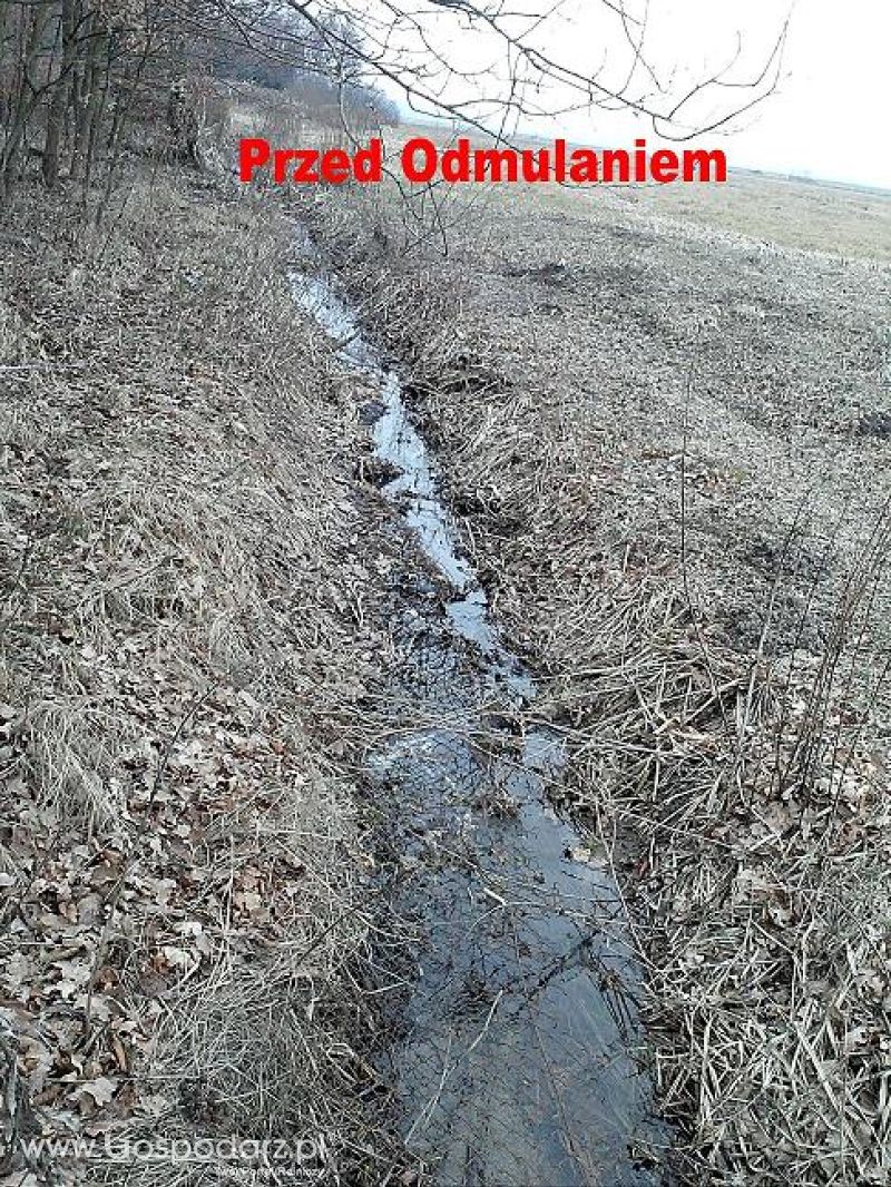 Odmulanie Rowów Melioracyjnych