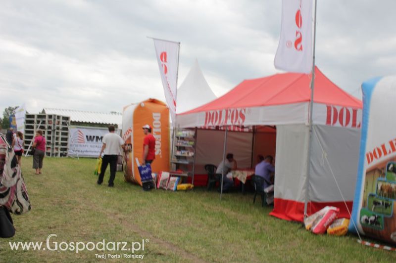 Szepietowo 2012 XIX Regionalna Wystawa Zwierząt Hodowlanych, I Ogólnopolska Wystawa Drobiu oraz Dni z Doradztwem Rolniczym