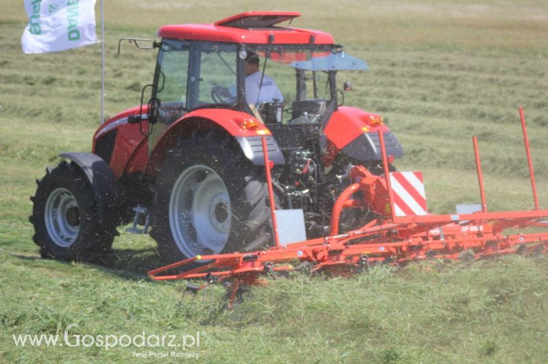 Opolagra 2012 migawka