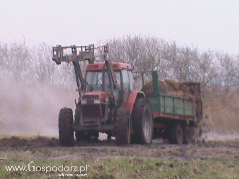 Wywóz  Obornik 2013