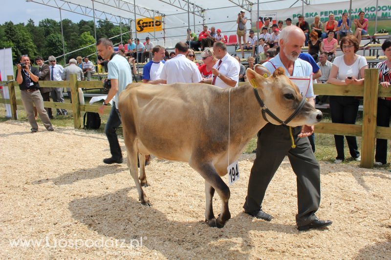 Superchampioni i championi Śląskiej Wystawy Bydła Mlecznego Opolagra 2011