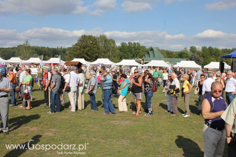 Świętomięs Polski w Chorzowie