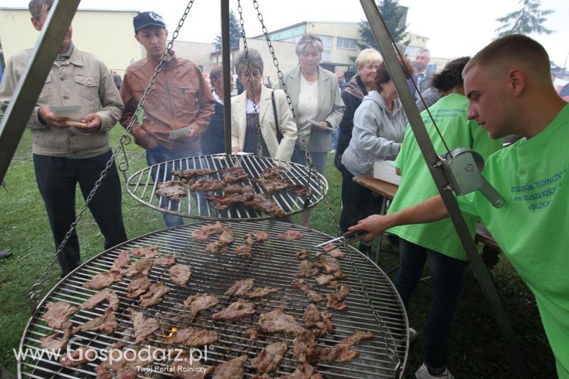 Festiwal Wieprzowiny w Bełżycach - niedziela