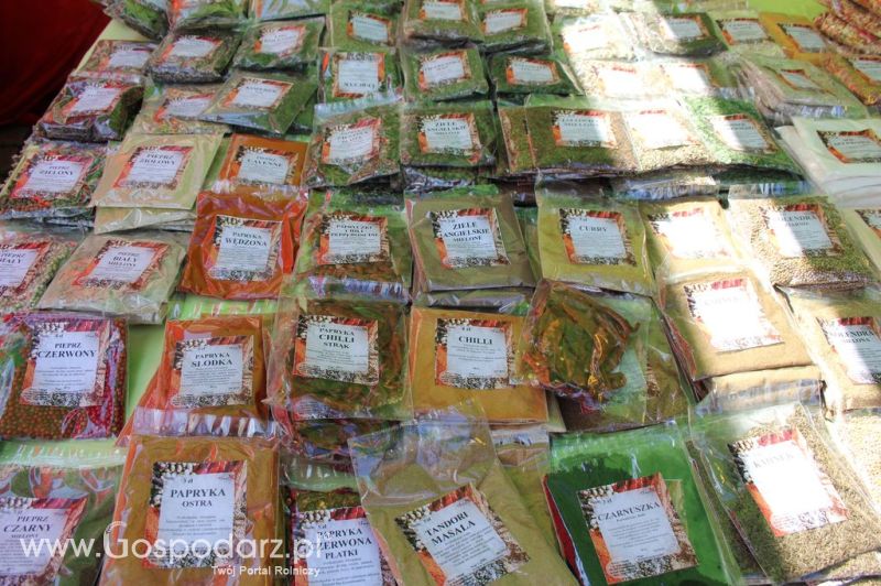 VI Ogólnopolski Festiwal Dobrego Smaku