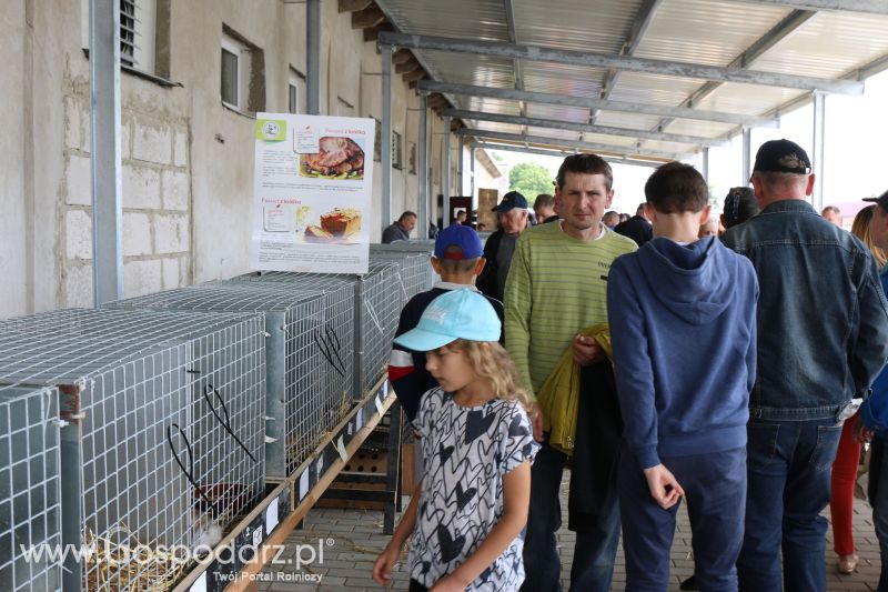 Regionalna Wystawa Zwierząt Hodowlanych i Dni z Doradztwem Rolniczym w Szepietowie 2017