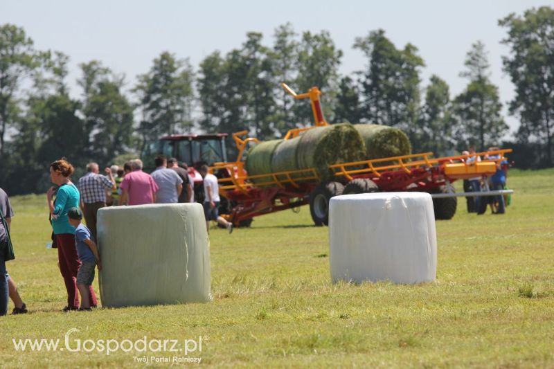 Zielone AGRO SHOW – POLSKIE ZBOŻA 2014 w Sielinku - sobota