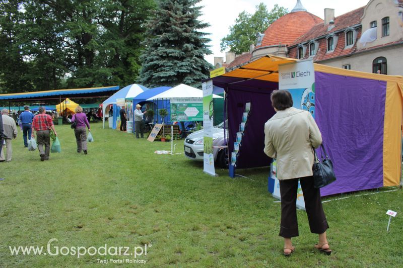 XX Targi Rolnicze Lubniewice 