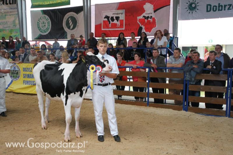 VIII Ogólnopolska Wystawa Bydła Hodowlanego, XXI Regionalna Wystawa Zwierząt Hodowlanych i Dni z Doradztwem Rolniczym w Szepietowie