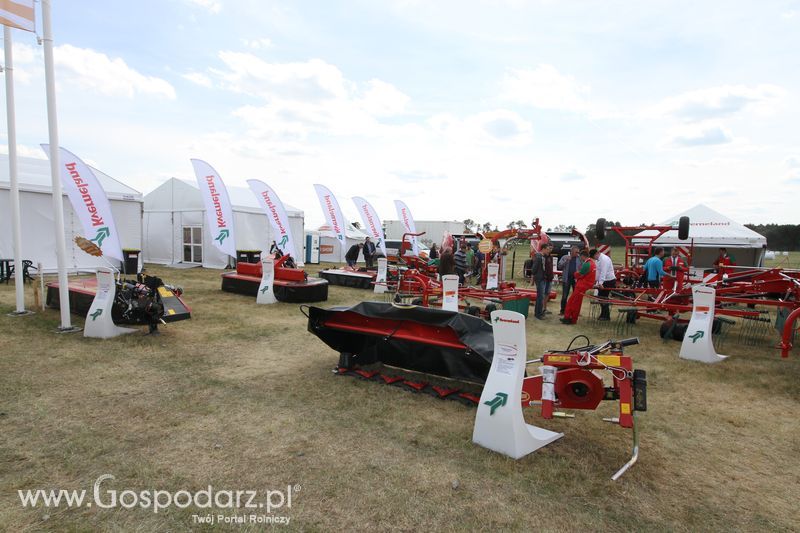 Zielone AGRO SHOW - Polskie Zboża 2015 w Sielinku