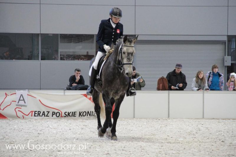 CAVALIADA 2013 w Poznaniu