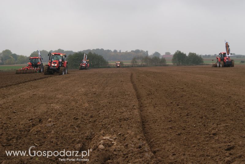 Zdjęcia z pokazów polowych INTER-VAX w Gębicach 