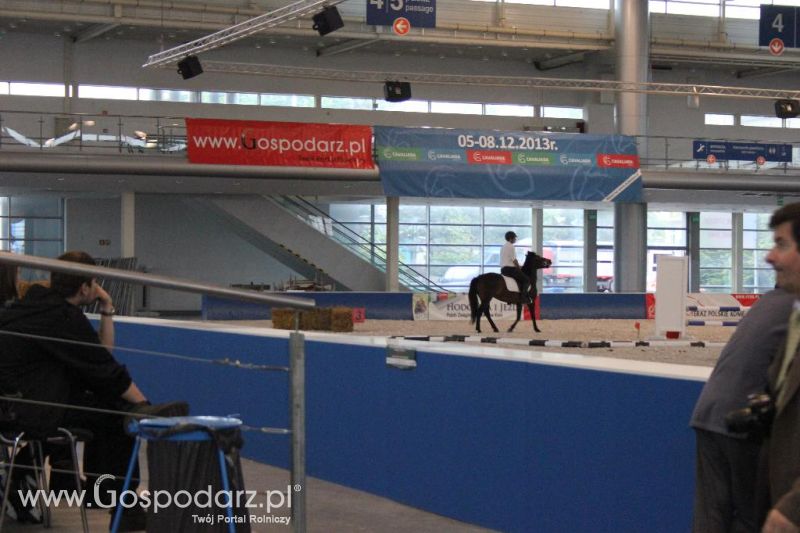 XXVI Krajowa Wystawa Zwierząt Hodowlanych - piątek