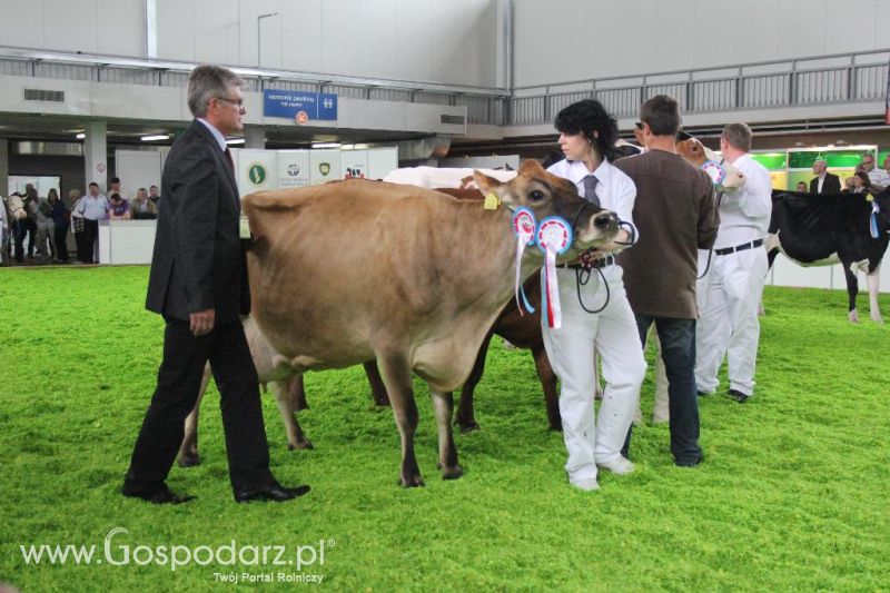 XXVI Krajowa Wystawa Zwierząt Hodowlanych - sobota i niedziela