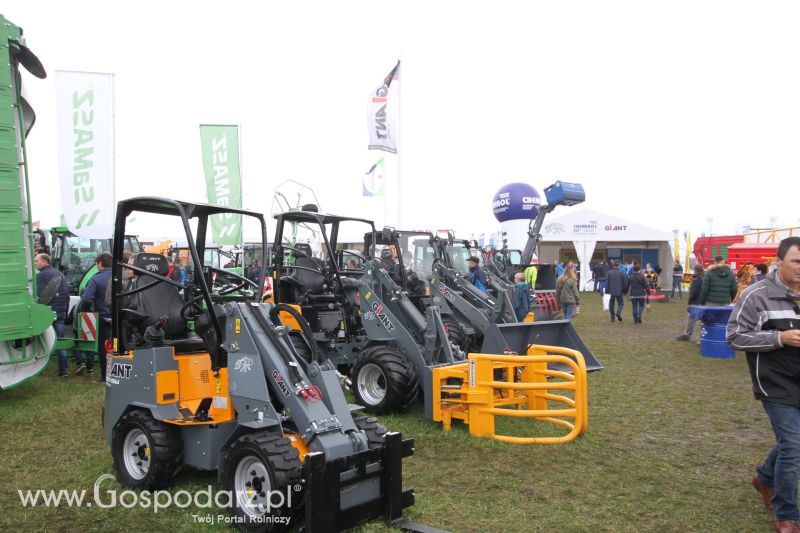 AGRO SHOW BEDNARY 2017 (Niedziela)