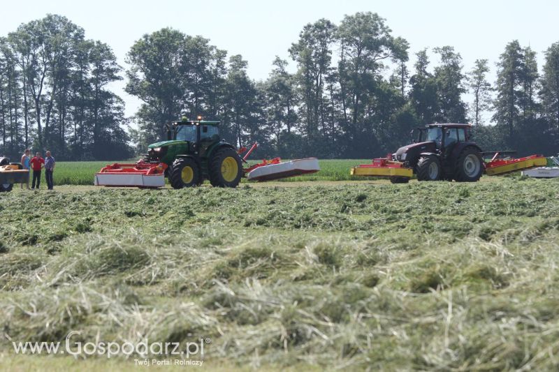 Zielone AGRO SHOW – POLSKIE ZBOŻA 2014 w Sielinku - niedziela