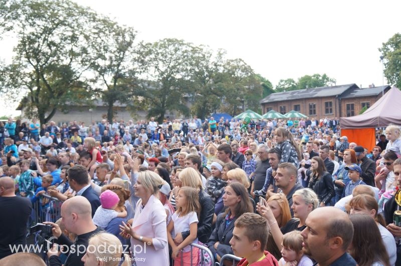 V Ogólnopolski Festiwal Wieprzowiny w Koźminie Wielkopolskim