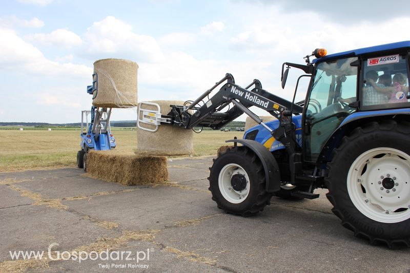 MultiOne Opolagra 2011