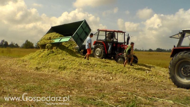 Kiszonka 2013