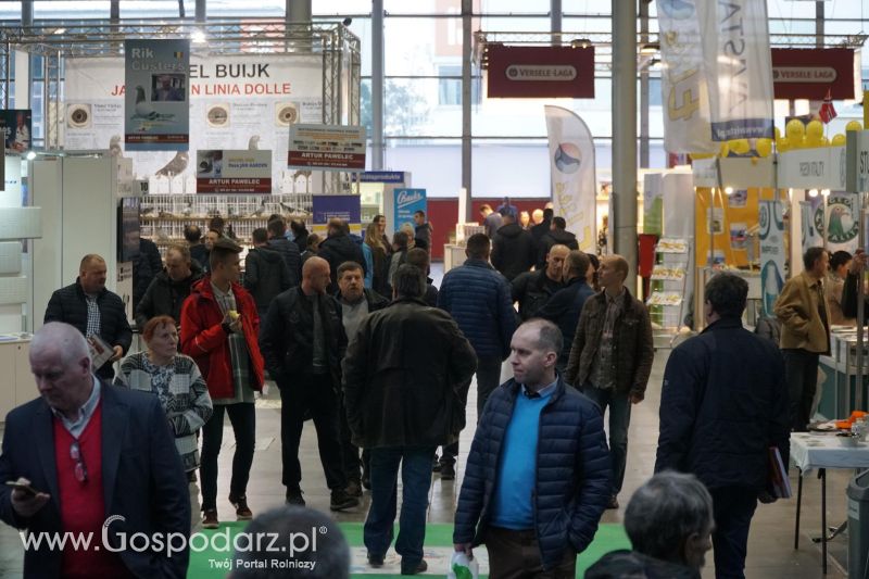 XXXVI Olimpiada Gołębi i Targi Gołębi Pocztowych i Akcesoriów otwarcie - dzień pierwszy