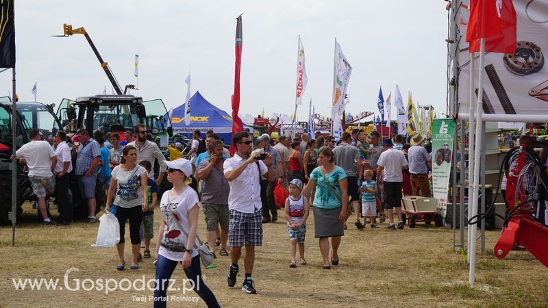 OPOLAGRA 2015 w Kamieniu Śląskim