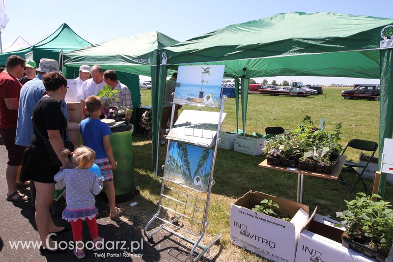 Oxytree na ZIELONE AGRO SHOW 2016