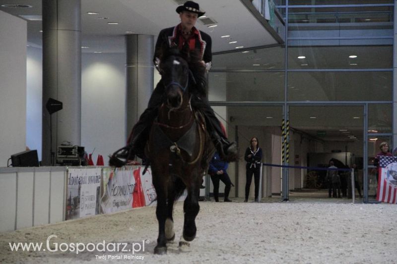 CAVALIADA 2013 w Poznaniu