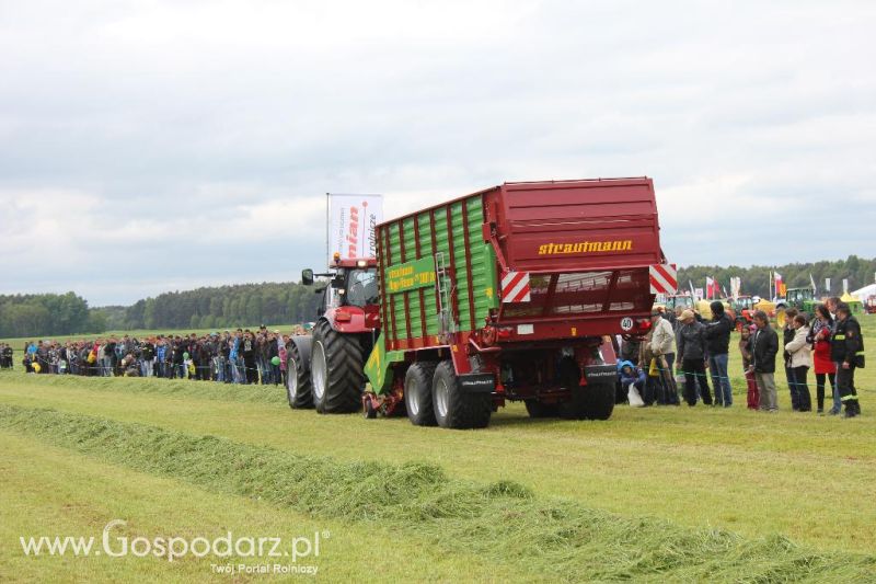 Pokazy maszyn Polskie Zboża Zielone Agro Show 2013