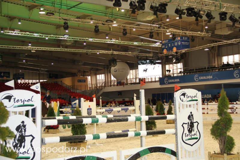 CAVALIADA 2013 w Poznaniu
