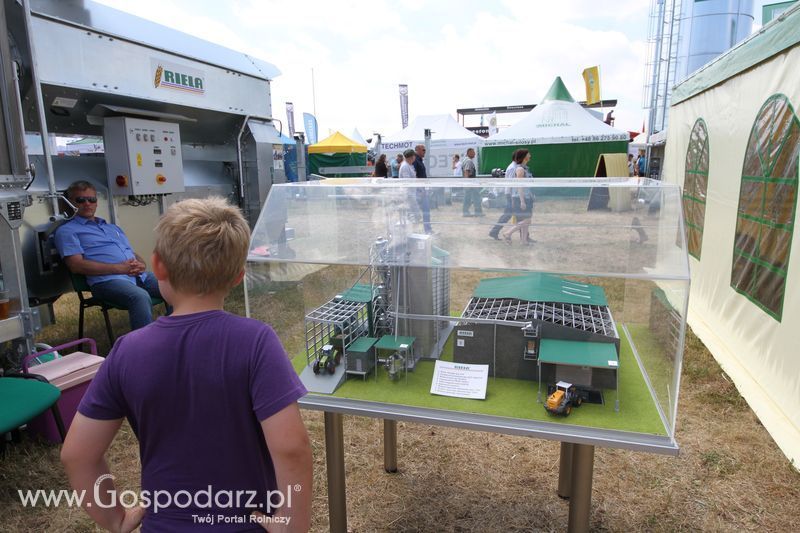 Riela na OPOLAGRZE 2015