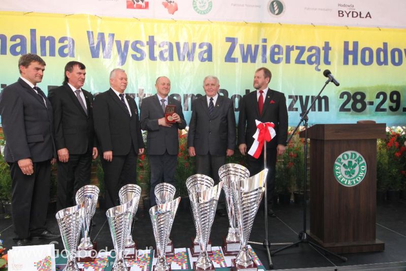 VIII Ogólnopolska Wystawa Bydła Hodowlanego, XXI Regionalna Wystawa Zwierząt Hodowlanych i Dni z Doradztwem Rolniczym w Szepietowie