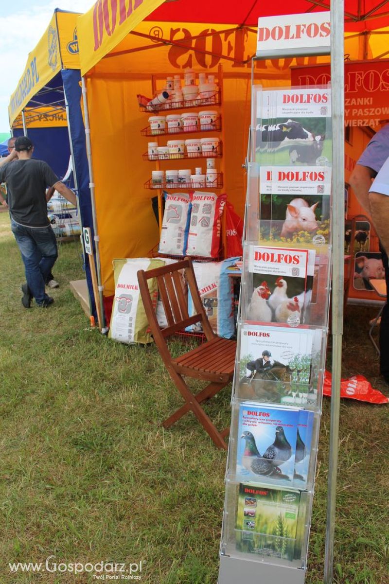 DOLFOS na Opolagra 2012